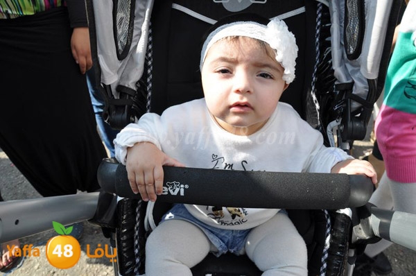 3eed lud 1116 (55).JPG